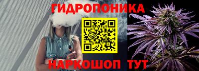 apvp Краснознаменск