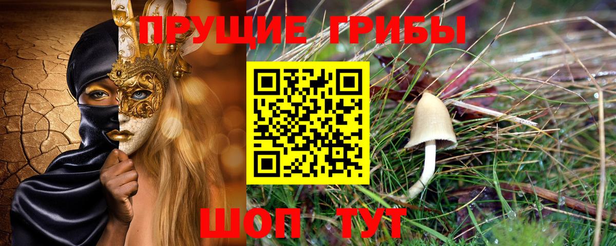 Галлюциногенные грибы GOLDEN TEACHER  Псилоцибиновые грибы мухоморы  Вход с VPN  Коломна 