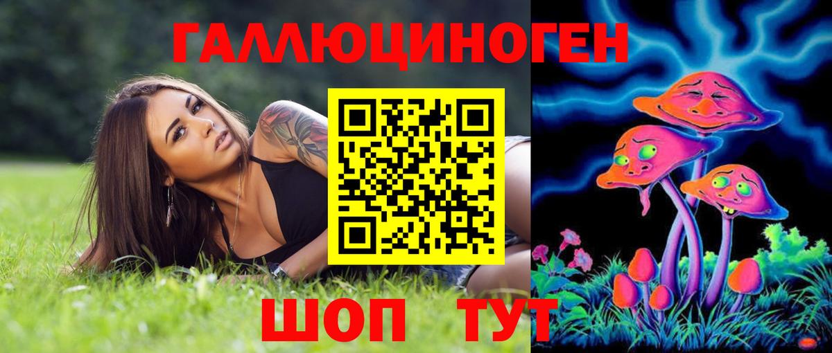 Псилоцибиновые грибы Psilocybine cubensis Коломна